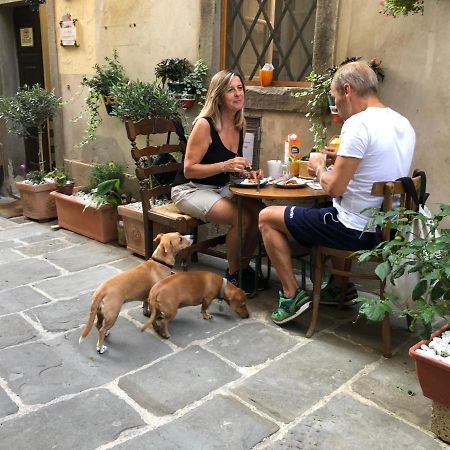 Casa Dreosti Bed & Breakfast Cortona Exterior photo